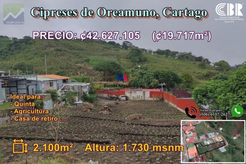 Terreno en Venta en  Cipreses, Cartago