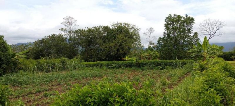 Foto Terreno en Venta en San Lucia, Alajuela - U$D 32.000 - TEV77906 - BienesOnLine