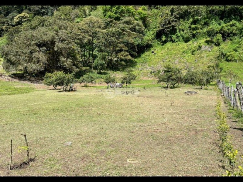 Terreno en Venta en Monteverde Monteverde, Puntarenas