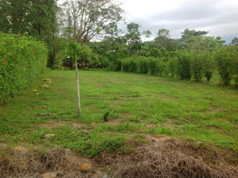 Foto Terreno en Venta en Chachagua, Fortuna, Alajuela - ¢ 11.286.000 - TEV7897 - BienesOnLine