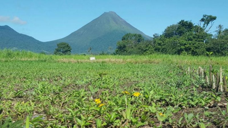 Foto Terreno en Venta en Fortuna, Fortuna, Alajuela - ¢ 16.000.000 - TEV7859 - BienesOnLine