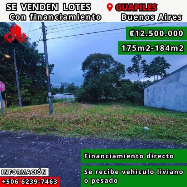 Foto Terreno en Venta en Guapiles Buenos Aires, Guápiles, Limón - ¢ 12.500.000 - TEV101353 - BienesOnLine