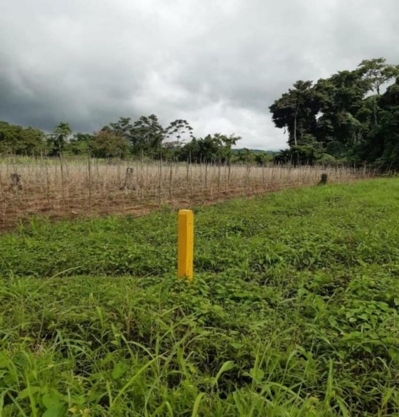 LOTES EN VENTA. Proyecto Llanos de Miravalles. Aguas Claras, Upala