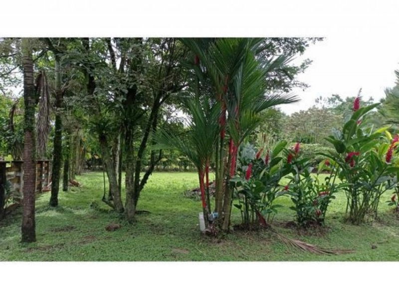 Terreno en Venta en  Heredia, Heredia