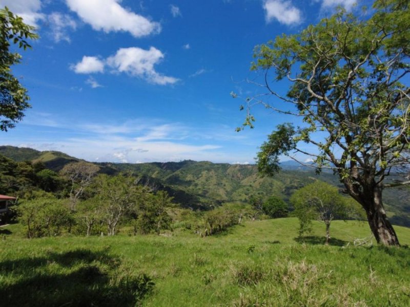 Finca en Venta en  Colón, San José