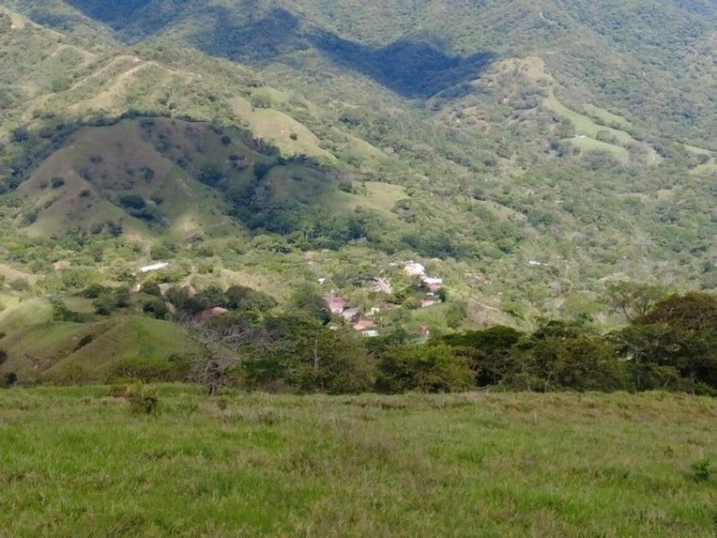 Finca en Venta en Ciudad Colón Mora, San José