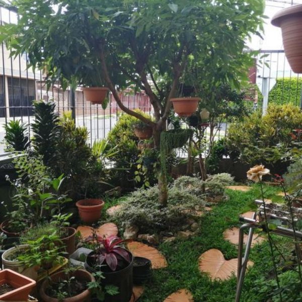 Foto Casa en Venta en cerca, trinidad, Alajuela - ¢ 85.000.000 - CAV58769 - BienesOnLine