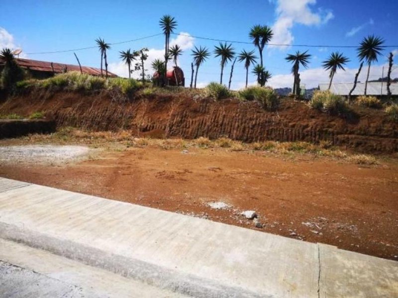 Foto Terreno en Venta en Paraíso, Cartago - U$D 25.000 - TEV23836 - BienesOnLine