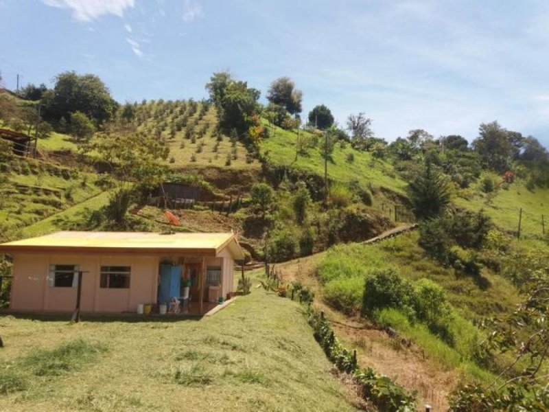 Foto Terreno en Venta en SAN ISIDRO EL GUARCO, SAN ISIDRO EL GUARCO, Cartago - ¢ 32.000.000 - TEV44705 - BienesOnLine