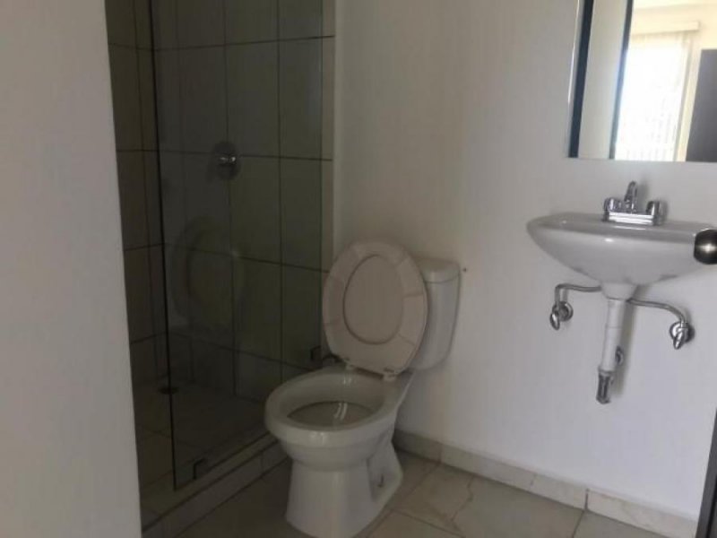 Foto Apartamento en Alquiler en Alajuela, Alajuela - U$D 550 - APA21861 - BienesOnLine