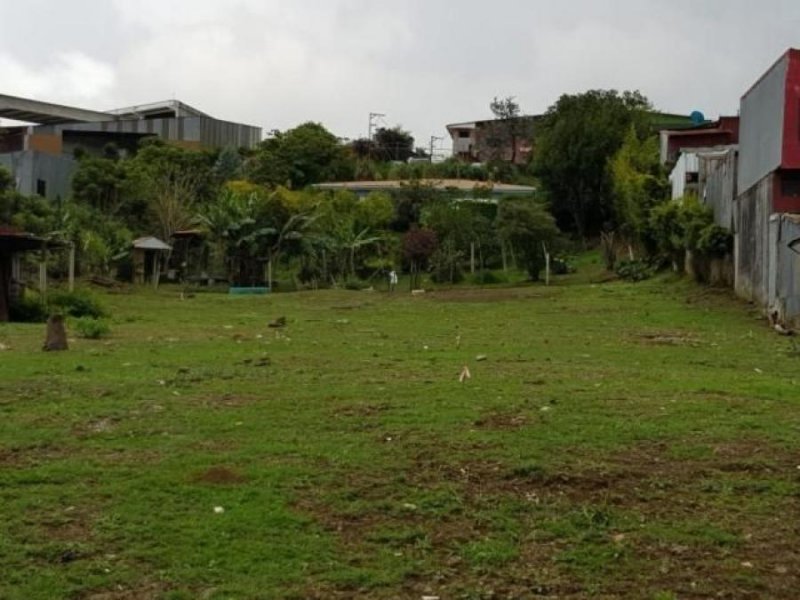 Foto Terreno en Venta en Goicoechea, San José - U$D 50.000 - TEV23056 - BienesOnLine