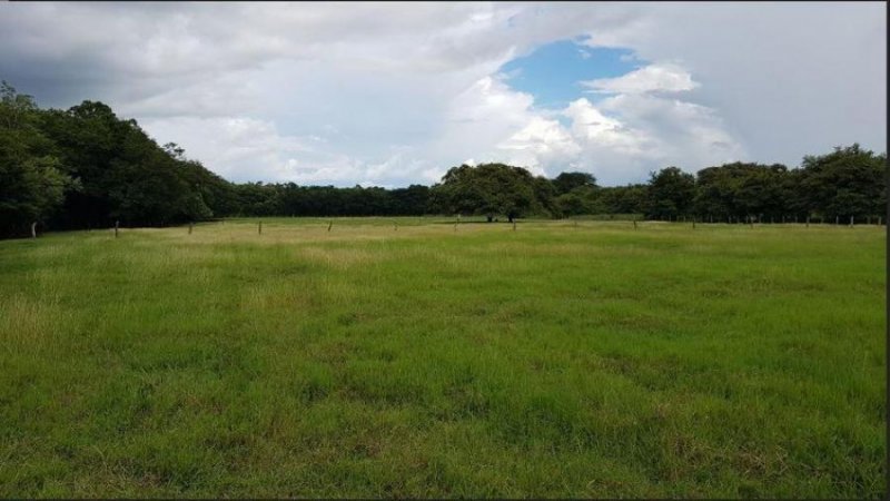 Foto Terreno en Venta en SARDINAL CARRILLO, SARDINAL CARRILLO, Guanacaste - ¢ 27.000.000 - TEV44378 - BienesOnLine