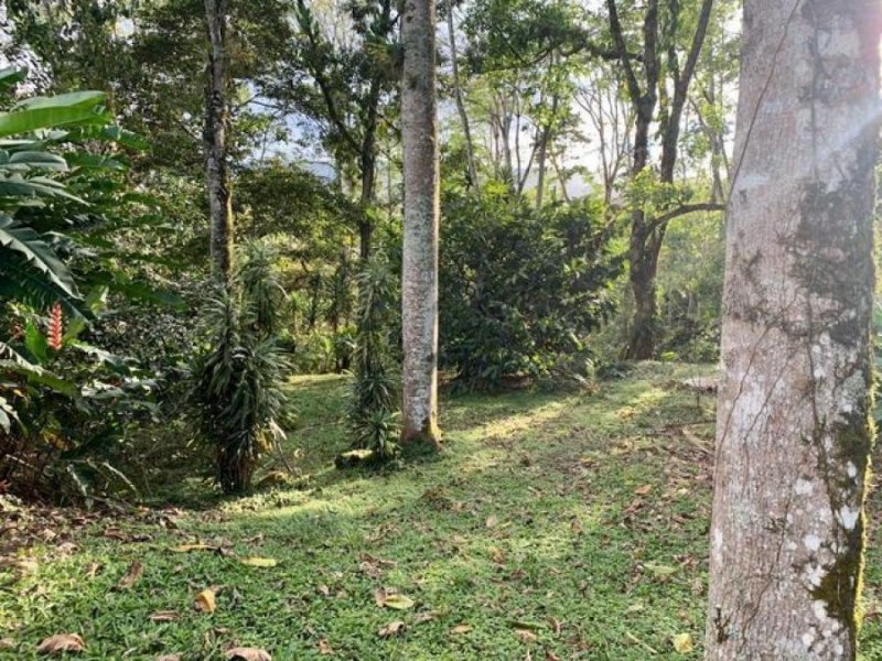 Foto Terreno en Venta en EL REPASTO, EL REPASTO TURRIALBA, Cartago - ¢ 90.000.000 - TEV44821 - BienesOnLine