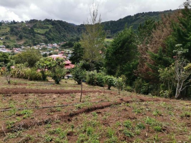 Foto Terreno en Venta en EL GUARCO, EL GUARCO, Cartago - ¢ 84.000.000 - TEV45137 - BienesOnLine