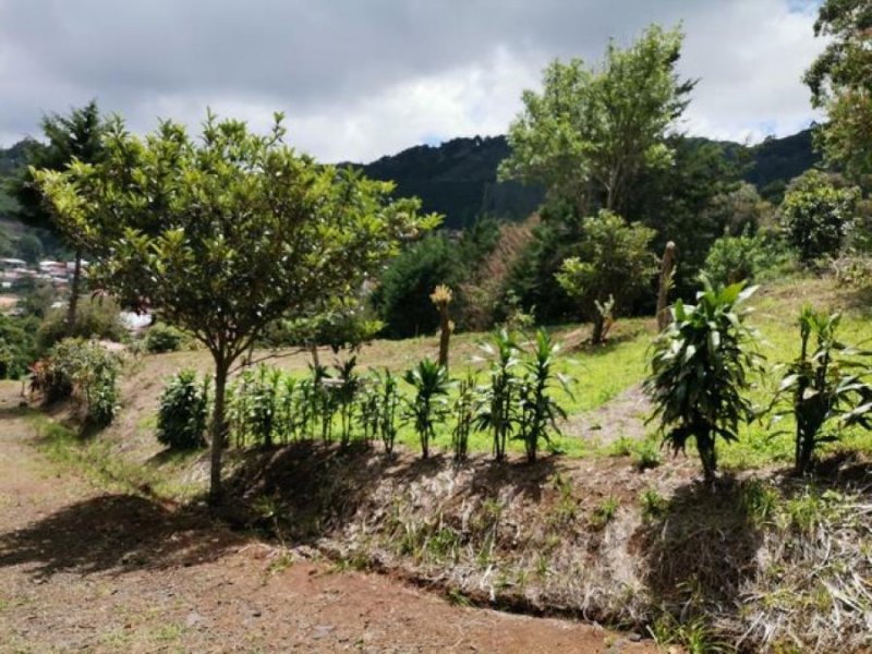 Foto Terreno en Venta en EL GUARCO, EL GUARCO, Cartago - ¢ 160.000.000 - TEV45350 - BienesOnLine