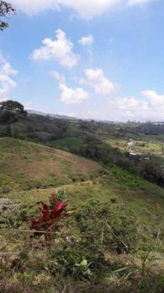 Foto Terreno en Venta en ALVARADO, CARTAGO ALVARADO, Cartago - ¢ 24.000.000 - TEV45070 - BienesOnLine