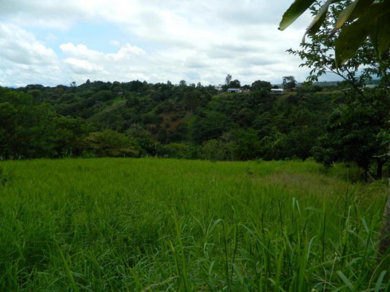 Foto Terreno en Venta en Desamparados, Alajuela, Alajuela - U$D 1.440.000 - TEV35025 - BienesOnLine