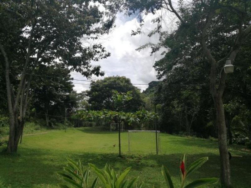 Foto Terreno en Venta en Alajuela, Alajuela - U$D 256.000 - TEV48408 - BienesOnLine