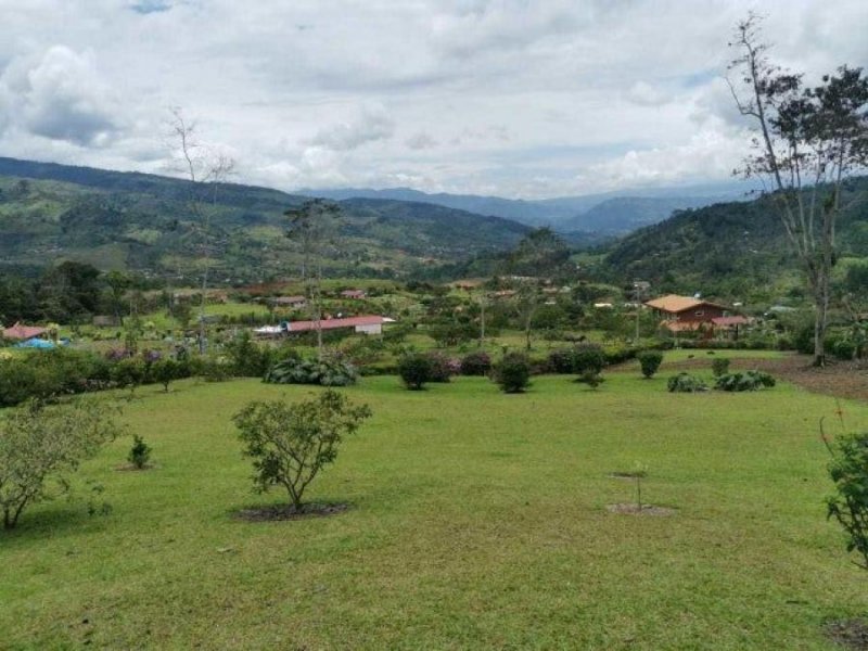 Foto Finca en Venta en TUIS TURRIALBA, TUIS TURRIALBA, Cartago - ¢ 51.999.999 - FIV69525 - BienesOnLine