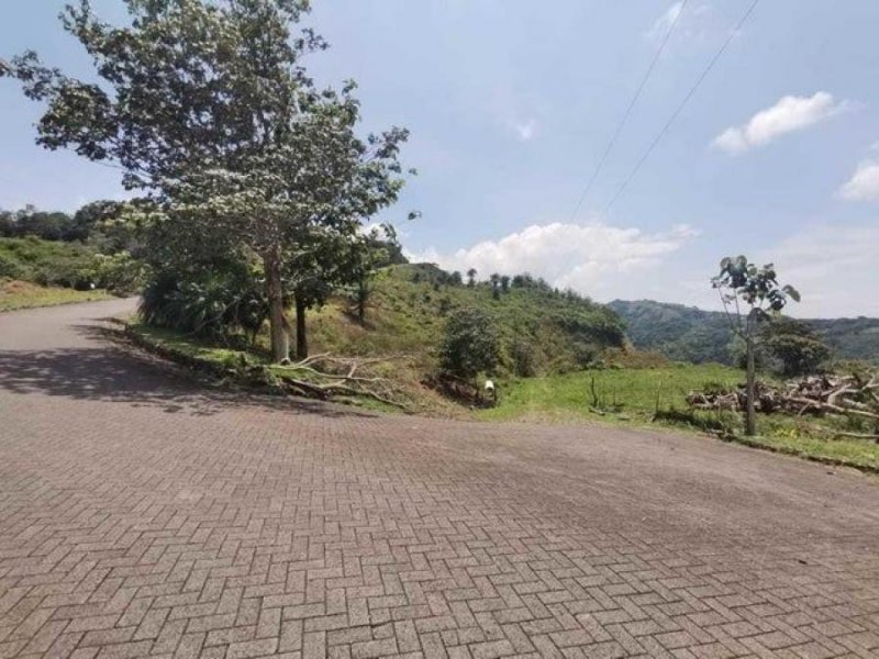 Foto Terreno en Venta en OROTINA ALAJUELA, OROTINA ALAJUELA, Alajuela - U$D 80.850 - TEV69656 - BienesOnLine