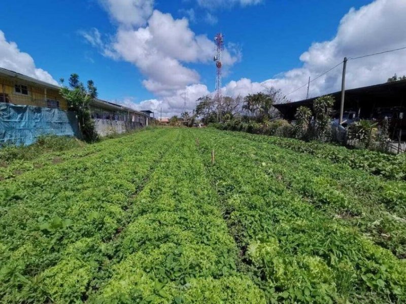 Foto Terreno en Venta en DULCE NOMBRE CARTAGO, DULCE NOMBRE ARTAGO, Cartago - U$D 300.000 - TEV100238 - BienesOnLine