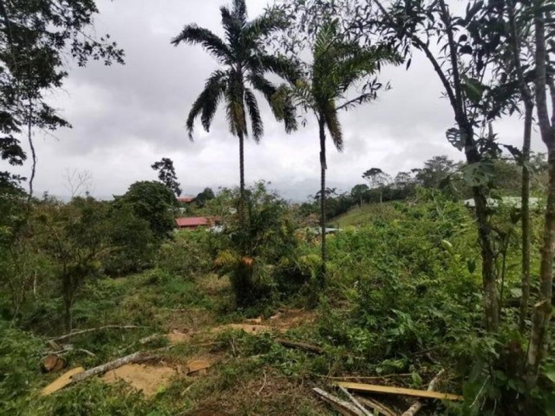 Foto Terreno en Venta en SAN JUAN TURRIALBA, SAN JUAN TURRIALBA, Cartago - U$D 375.499 - TEV68801 - BienesOnLine