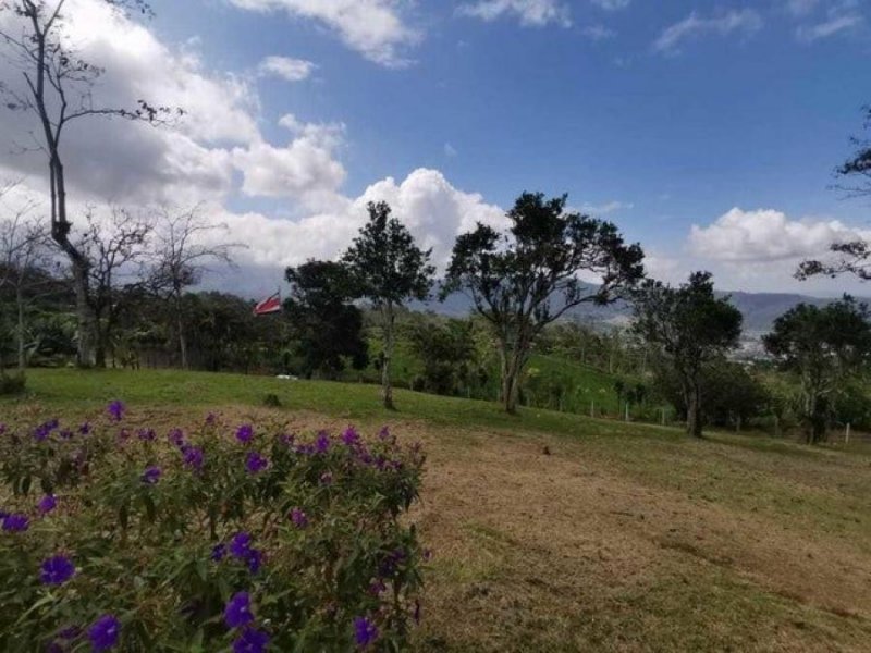 MLS-23-1699 VENTA LOTE SAN JUAN TURRIALBA