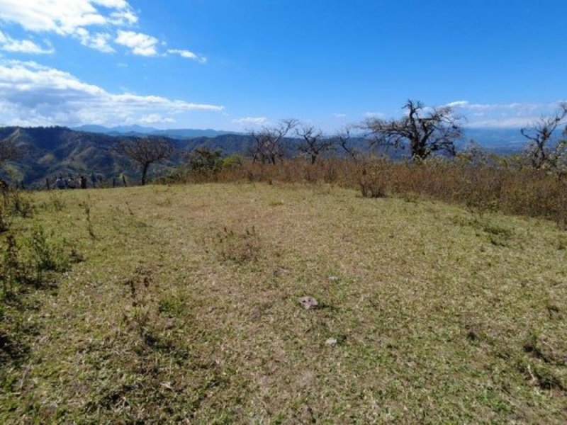 Foto Terreno en Venta en MORA SAN JOSE, MORA SAN JOSE, San José - U$D 2.977.040 - TEV69730 - BienesOnLine