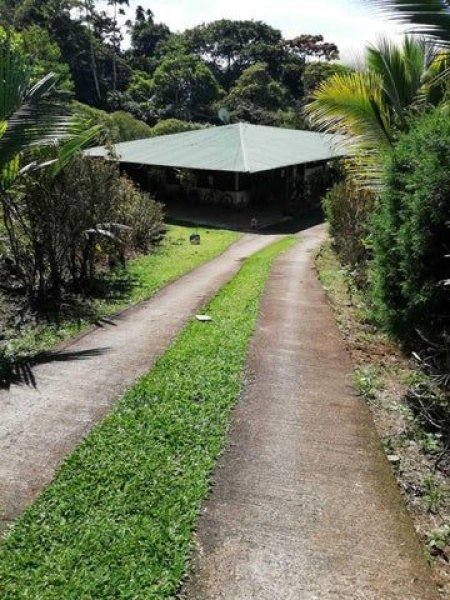 Foto Casa en Venta en PAVONES TURRIALBA, PAVONES TURRIALBA, Cartago - ¢ 80.000.000 - CAV71254 - BienesOnLine