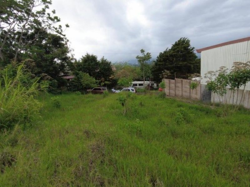 Foto Terreno en Venta en SAN ISIDRO HEREDIA, SAN ISIDRO HEREDIA, Heredia - ¢ 65.000.000 - TEV75784 - BienesOnLine