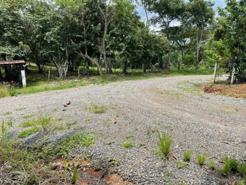 MLS-23-465 LS VENTA LOTE OROTINA ALAJUELA