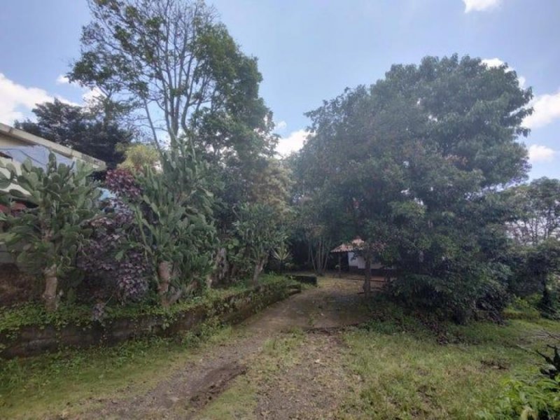 Foto Finca en Venta en SARCHI ALAJUELA, SARCHI ALAJUELA, Alajuela - ¢ 160.000.000 - FIV69664 - BienesOnLine