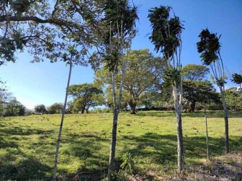 MLS-24-1192 LS VENTA LOTE SAN RAFAEL HEREDIA 