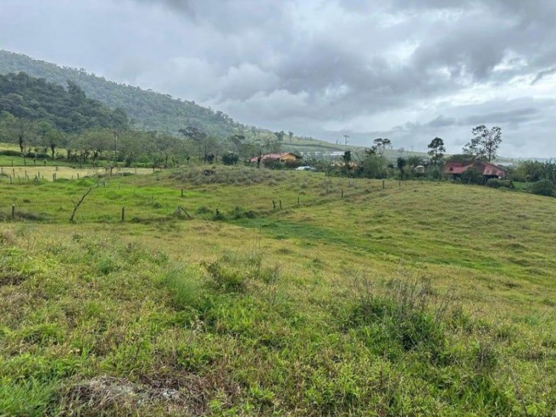 Foto Terreno en Venta en CIUDAD QUESADA SAN CARLOS, CIUDAD QUESADA SAN CARLOS, Alajuela - ¢ 47.000.000 - TEV96088 - BienesOnLine