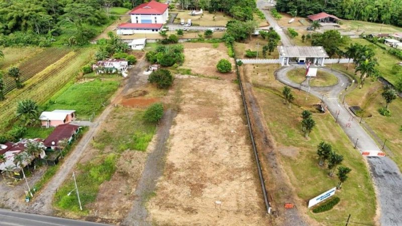 Foto Terreno en Venta en POCOCI GUAPILES, POCOCI GUAPILES, Limón - ¢ 65.000.000 - TEV103950 - BienesOnLine