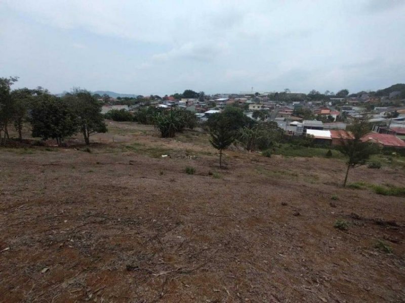 Foto Terreno en Venta en SAN RAMON ALAJUELA, SAN RAMON ALAJUELA, Alajuela - ¢ 510.000.000 - TEV99753 - BienesOnLine