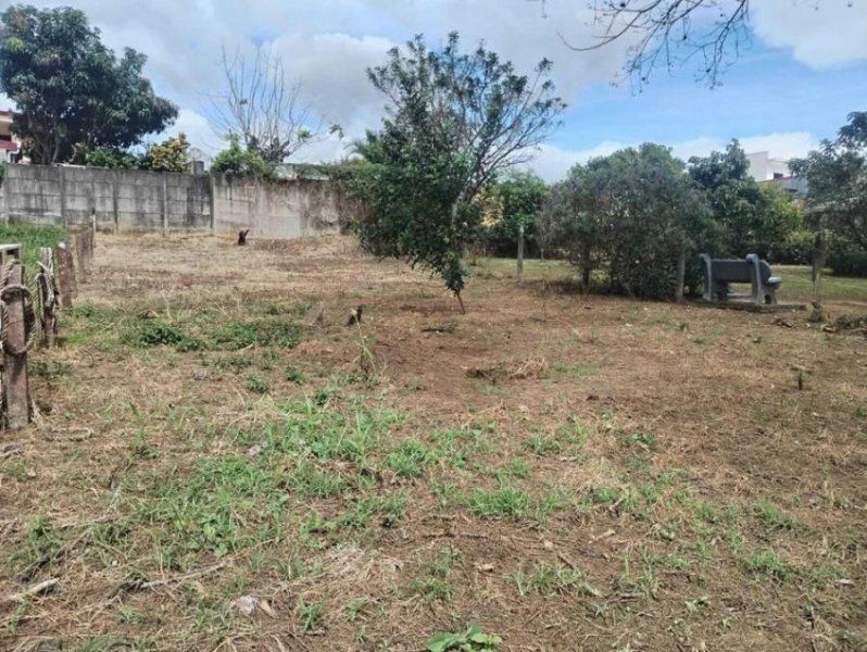 MLS-25-1250 LS VENTA LOTE ALAJUELA CENTRO 