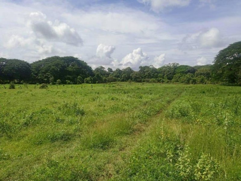 MLS-25-559 LS VENTA LOTE DE 48.575M2 LIBERIA GUANACASTE 