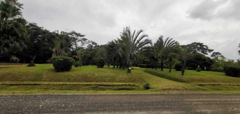 Terreno en Venta en POCOCI GUAPILES Pococí, Limón