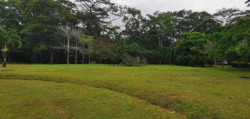 Terreno en Venta en POCOCI GUAPILES Pococí, Limón