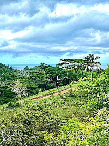 Terreno en Venta en Montezuma Cobano, Puntarenas