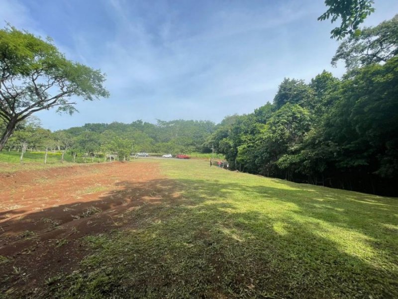 Foto Terreno en Venta en Jesús María, San Mateo, Alajuela - ¢ 32.500.000 - TEV71214 - BienesOnLine