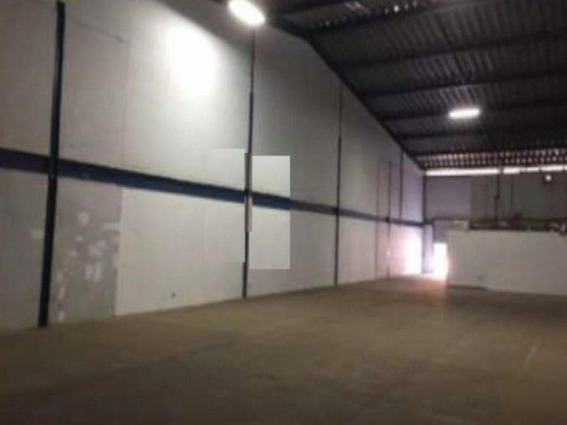 Oficina Para Bodega En Alquiler En Alajuela Costa Rica; Idi: 128255