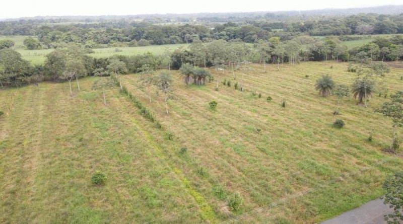 Terreno en Venta en  San Mateo, Alajuela