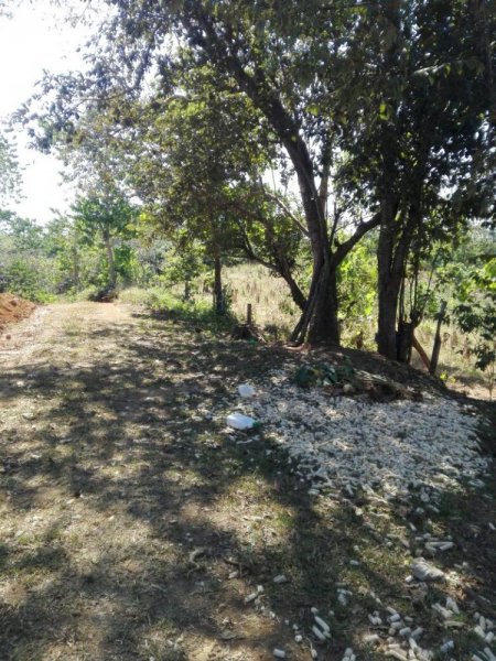 Foto Terreno en Venta en Santa Cruz, Guanacaste - ¢ 50.000.000 - TEV12757 - BienesOnLine