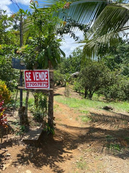 Terreno en Venta en Guapiles Pococí, Limón