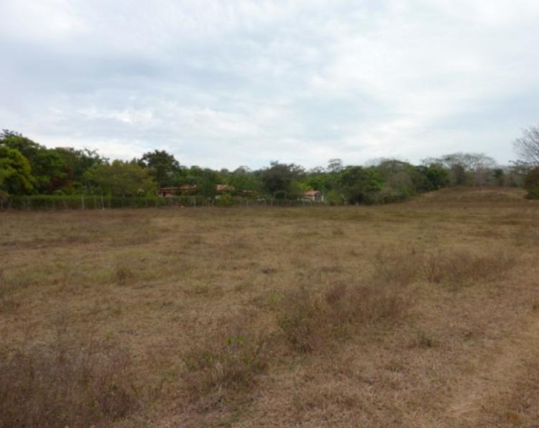 Foto Finca en Venta en Orotina, Alajuela - U$D 5.000.000 - FIV1489 - BienesOnLine