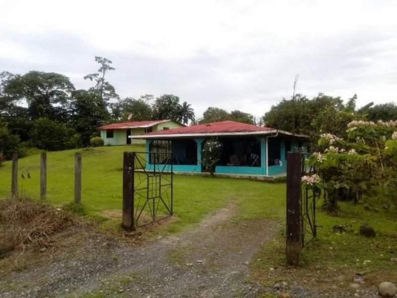 Foto Casa en Venta en San Gerardo de Ticaban, Guápiles, Limón - ¢ 18.000.000 - CAV16077 - BienesOnLine