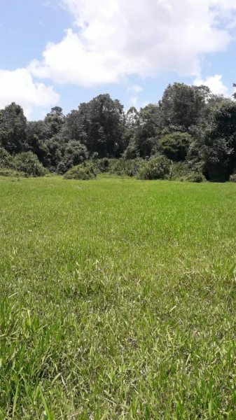 Finca en Venta en  Guácimo, Limón