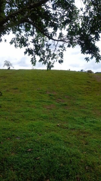 Terreno en Venta en La Virgen Sarapiquí, Heredia